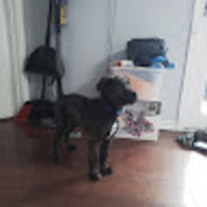 Meet your Posher, Madison